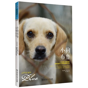 小狗布鲁