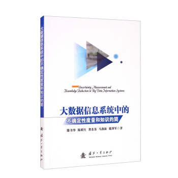 大数据信息系统中的不确定性度量和知识约简