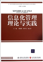 信息化管理理论与实践(21世纪高等学校信息管理与信息系统专业规划教材)