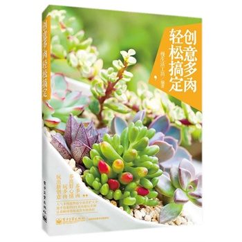 创意多肉，轻松搞定