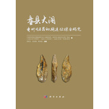 盘县大洞：贵州旧石器初期遗址综合研究