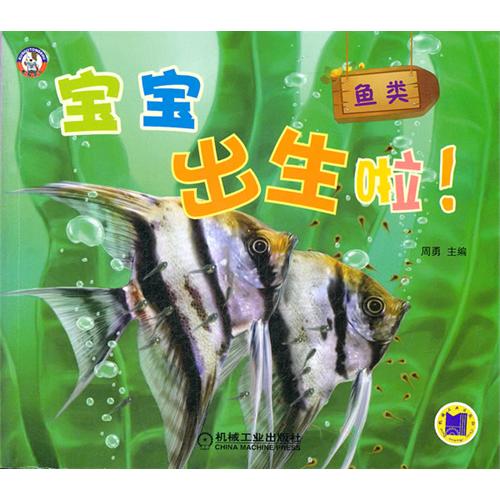 鱼多大才能生宝宝 00bd14bc-7311-4e31-8d9e-75d428f61204.jpg