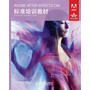 ADOBE AFTER EFFECTS CS6标准培训教材 