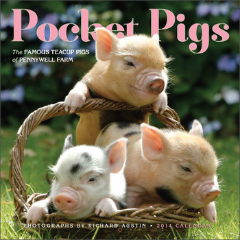 Pocket Pigs 2014 Wall Calendar: The Famous Teacup Pigs of Pennywell Farm [平装]