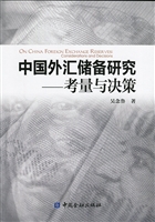 中国外汇储备研究：考量与决策
