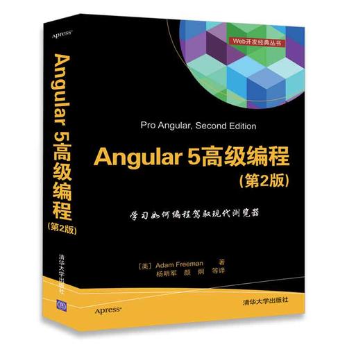Angular 5 高级编程(第2版)（Web开发经典丛书）