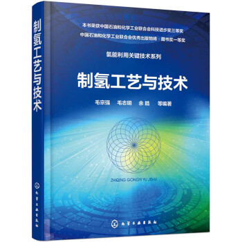 氢能利用关键技术系列--制氢工艺与技术