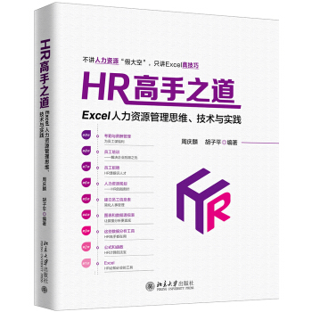 HR高手之道：Excel人力资源管理思维、技术与实践