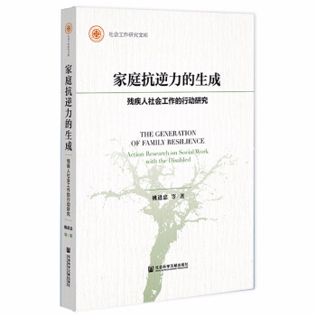 家庭抗逆力的生成：残疾人社会工作的行动研究