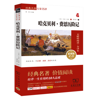 哈克贝利 费恩历险记 新版 经典名著 大家名译（新课标 无障碍阅读 全译本平装）