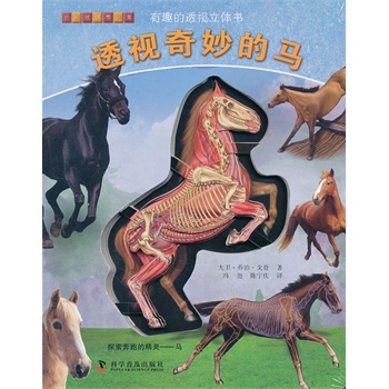 透视奇妙的马