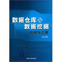 数据仓库与数据挖掘原理及应用