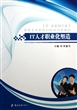 IT人才职业化塑造 
