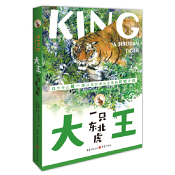 大王：一只东北虎