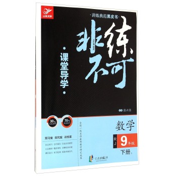 讲练典范黑皮书·非练不可：数学（九年级下册 RJ）  