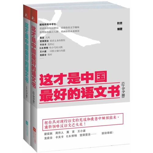 这才是中国最好的语文书（综合+小说分册）