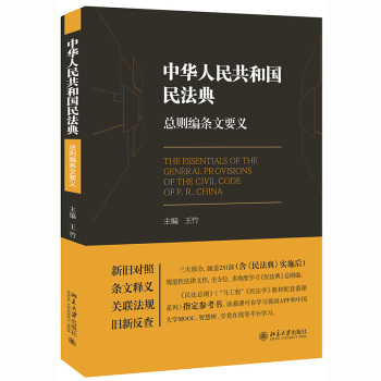 《中华人民共和国民法典》总则编条文要义