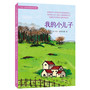 我的小儿子（风靡西方的父爱经典，培养内心强大的孩子）