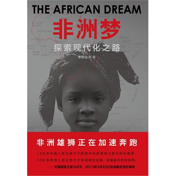 非洲梦：探索现代化之路