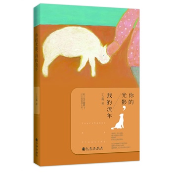你的光影,我的流年