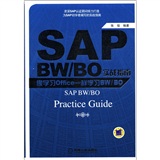 SAP BW/BO实战指南—像学习Office一样学习BW/BO