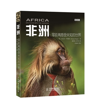 非洲：零距离感受未知的世界