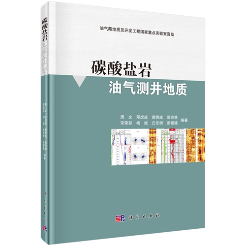 碳酸盐岩油气测井地质