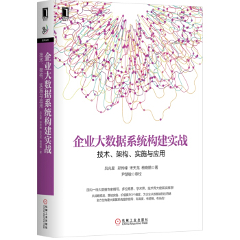 企业大数据系统构建实战：技术、架构、实施与应用