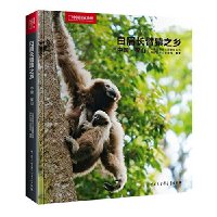 中国国家地理-白眉长臂猿之乡-中国保山