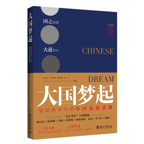 大国梦起：变动秩序中的中国发展进路