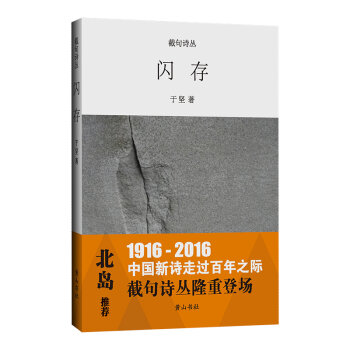 截句诗丛-闪存