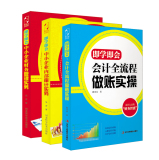 新手会计“即学即会”：中小企业财务管理实务+中小企业内部审计实务+会计全流程做账实操（套装共3册）  