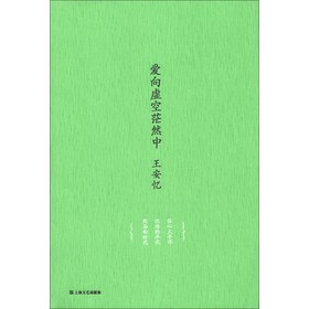 王安忆中篇小说系列：爱向虚空茫然中