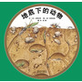 地底下的动物 