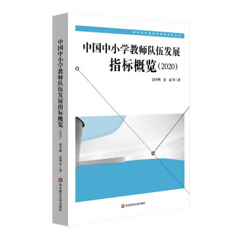 中国中小学教师队伍发展指标概览（2020） 