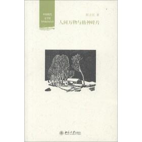 中国现代文学馆青年批评家丛书：人间万物与精神碎片 
