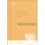 钢铁是怎样炼成的