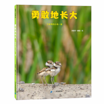 勇敢地长大：工地旁的小鸟一家 