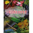 我的第一本百科全书.小型动物的奇妙世界 