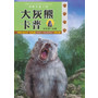 动物小说王国（第二辑）——大灰熊卡普 