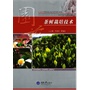 茶树栽培技术 