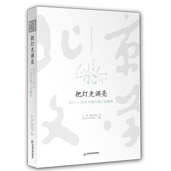 把灯光调亮——2015~2016中国中篇小说精选