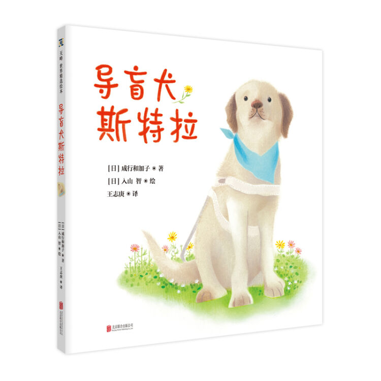 导盲犬斯特拉