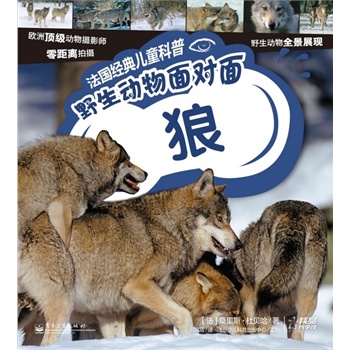 法国经典儿童科普. 野生动物面对面—熊