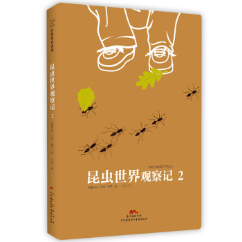 昆虫世界观察记2