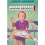 Marvin Redpost #2: Why Pick on Me? 麻烦精马文2：为什么是我 ISBN9780679819479 