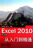 Excel2010中文版从入门到精通