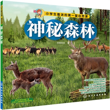 小学生着迷的第一堂自然课--神秘森林