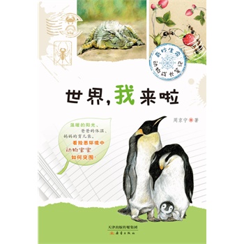 世界，我来啦