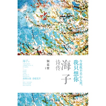 今夜我不关心人类,我只想你:海子诗传(电子书)